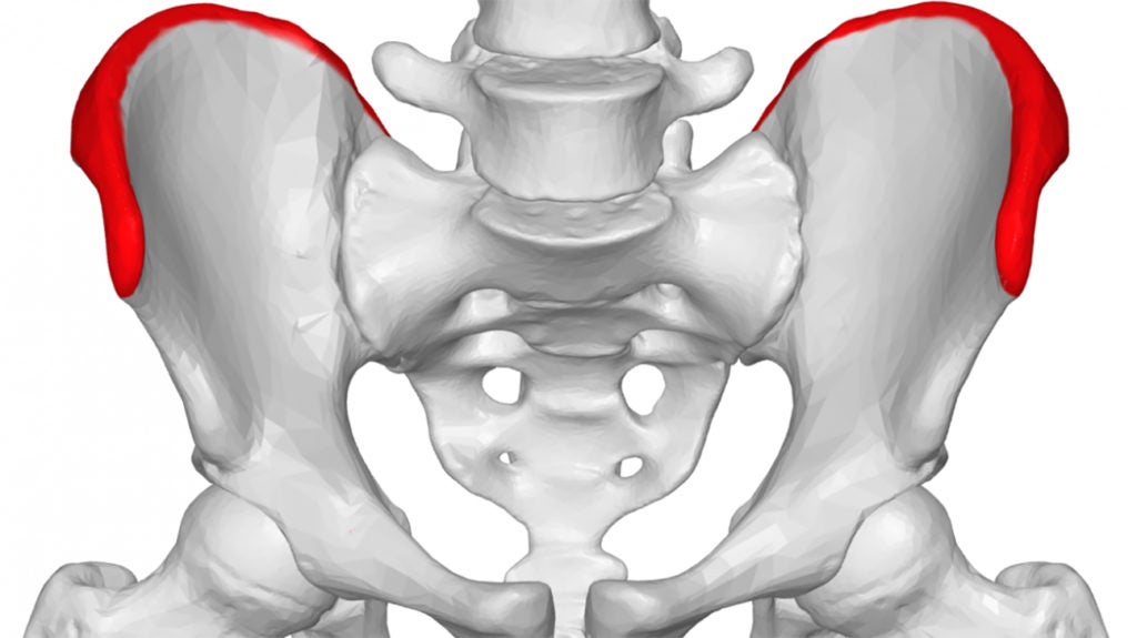 Iliac Crest Pain Causes Exercises And Treatment