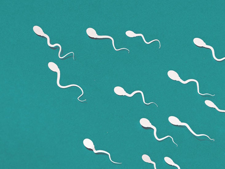 Sperm Quality: Why Your Count May Be Low