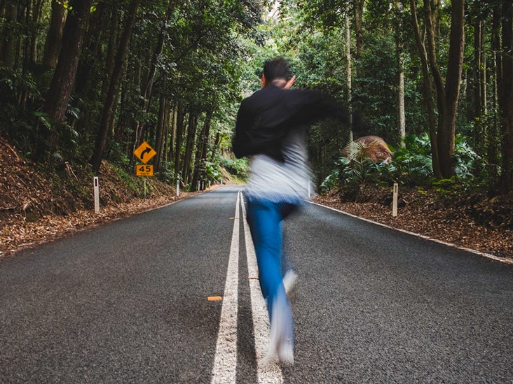 Dreams About Being Chased: Possible Interpretations