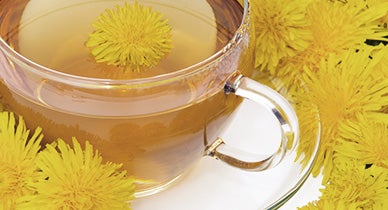 13 Potential Health Benefits Of Dandelion