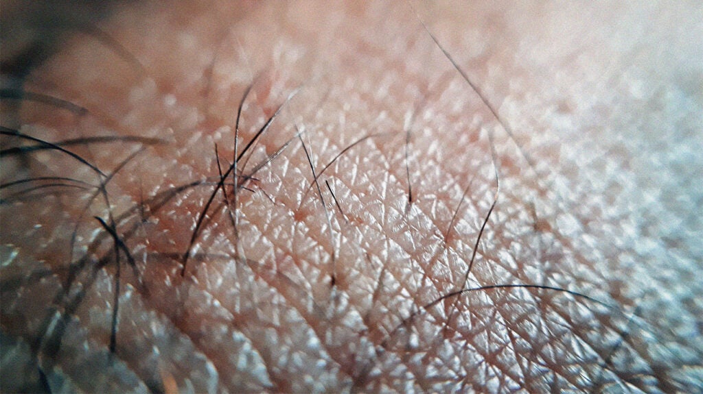 Closeup Back Of Legs Men Skin And Hairy With White Background