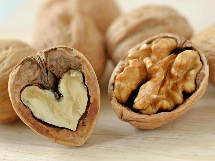 are walnuts an easily digested food
