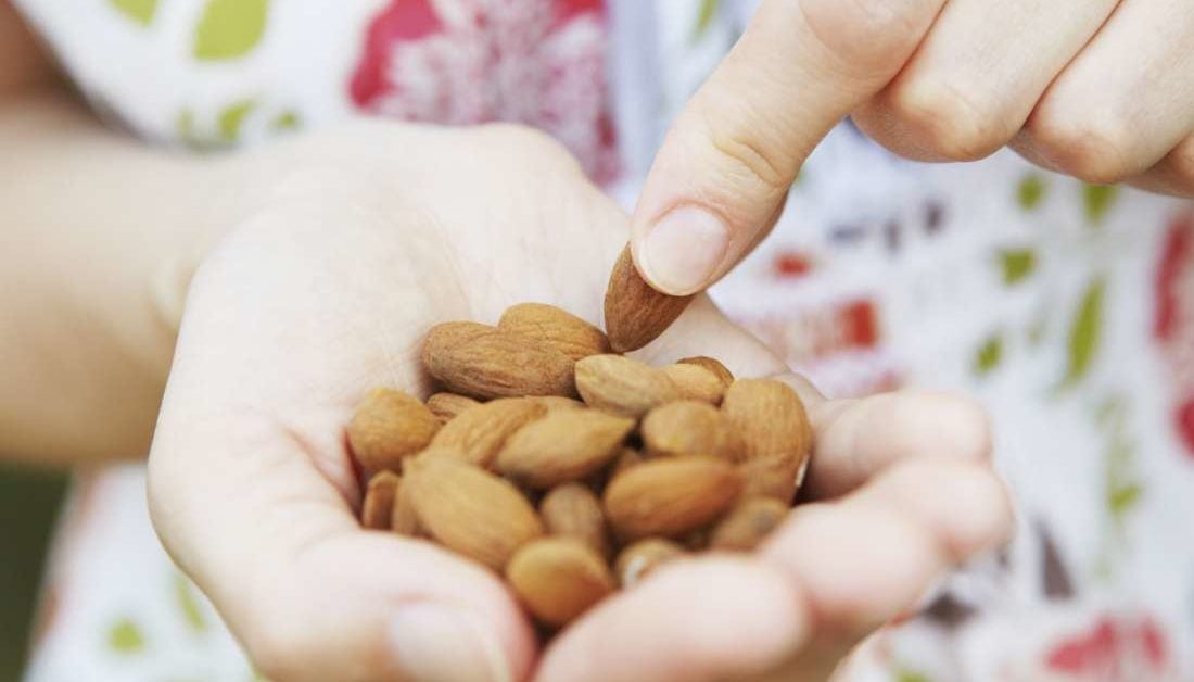 best nuts best nuts and seeds for weight gain seeds for weight gain best nuts and seeds for weight gain