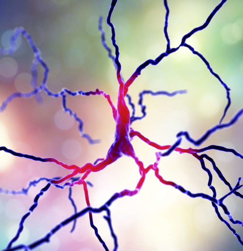 Parkinson's: New treatment approach shows promise in brain cells