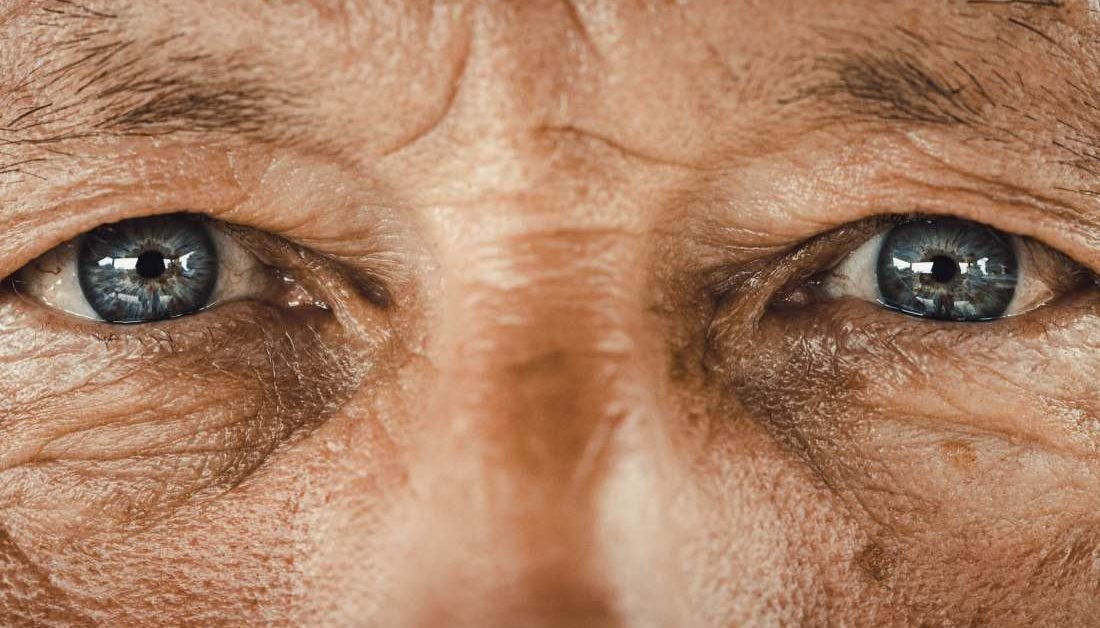 Could the eyes predict cardiovascular risk?