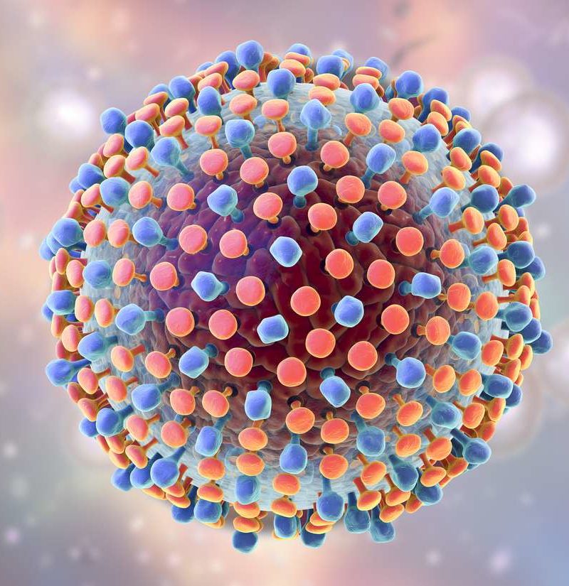 Hepatitis C Síntomas causas y tratamientos