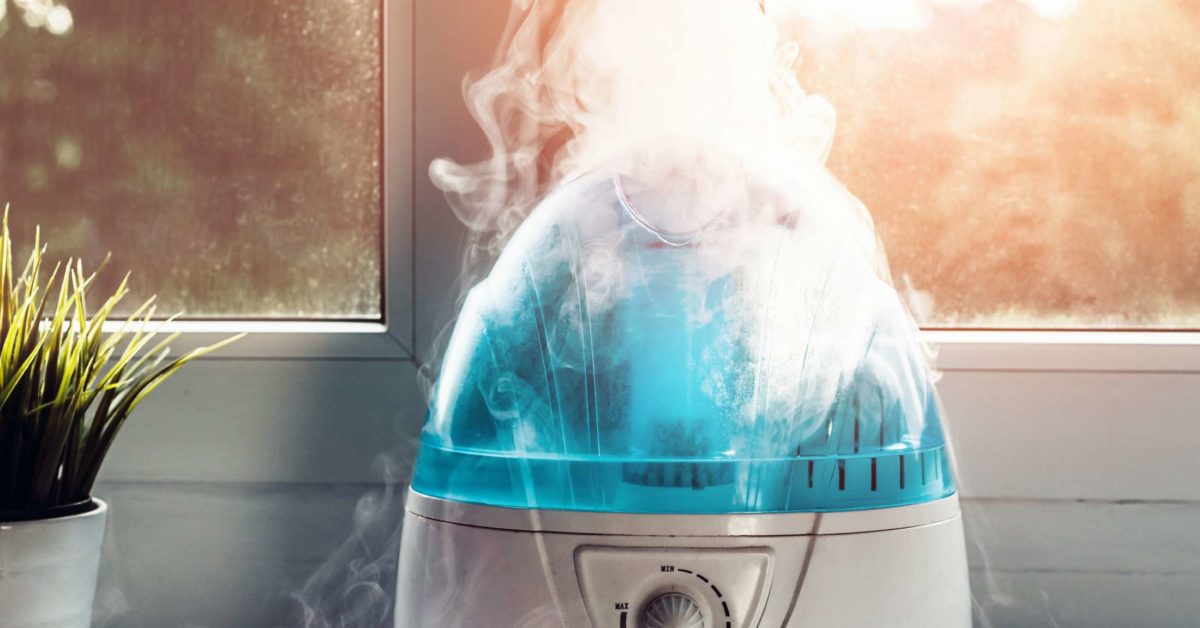 Diffuser vs Humidifier: Which One Should You Use? 