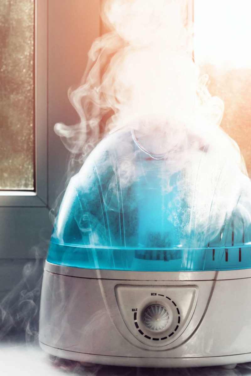 Warm Mist Humidifier w/ Vaporizer Function