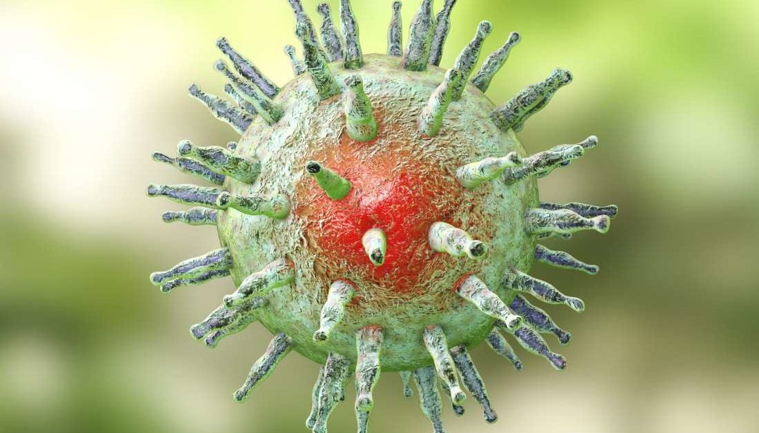 Ms Common Herpesvirus Variant Raises Risk Of Epstein Barr Virus