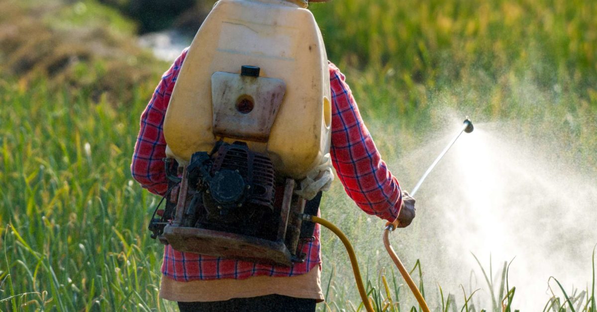 harmful effects of pesticides on human health