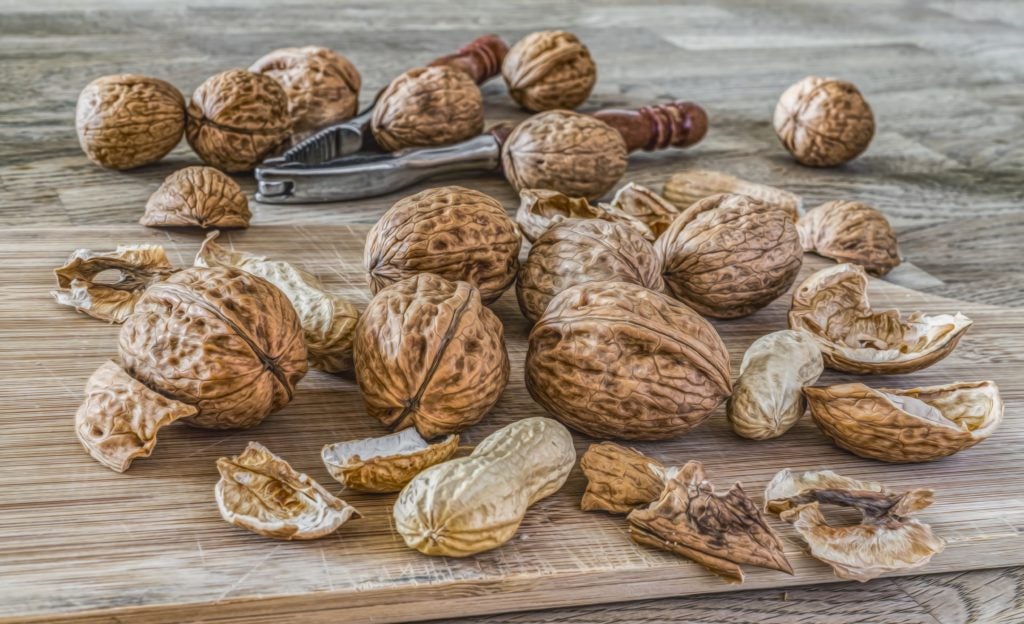 2 3 oz of walnuts daily may benefit heart and gut health