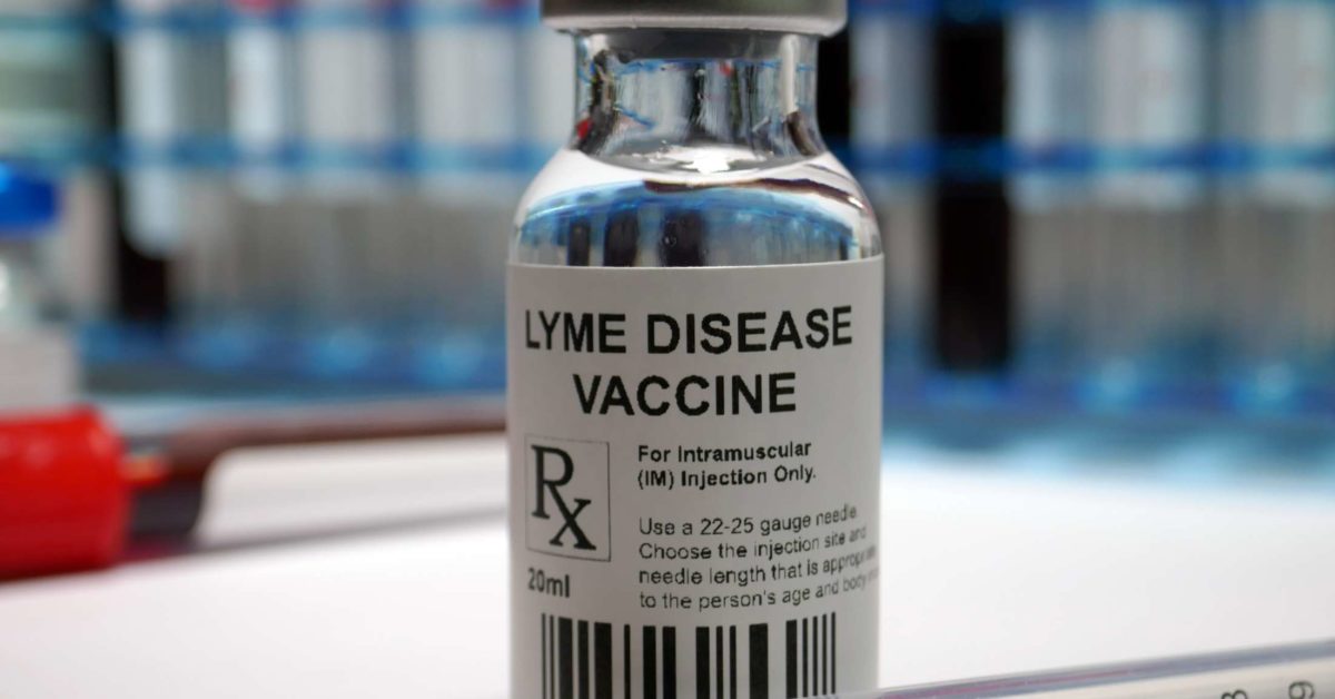 Lyme disease: Vaccine and research