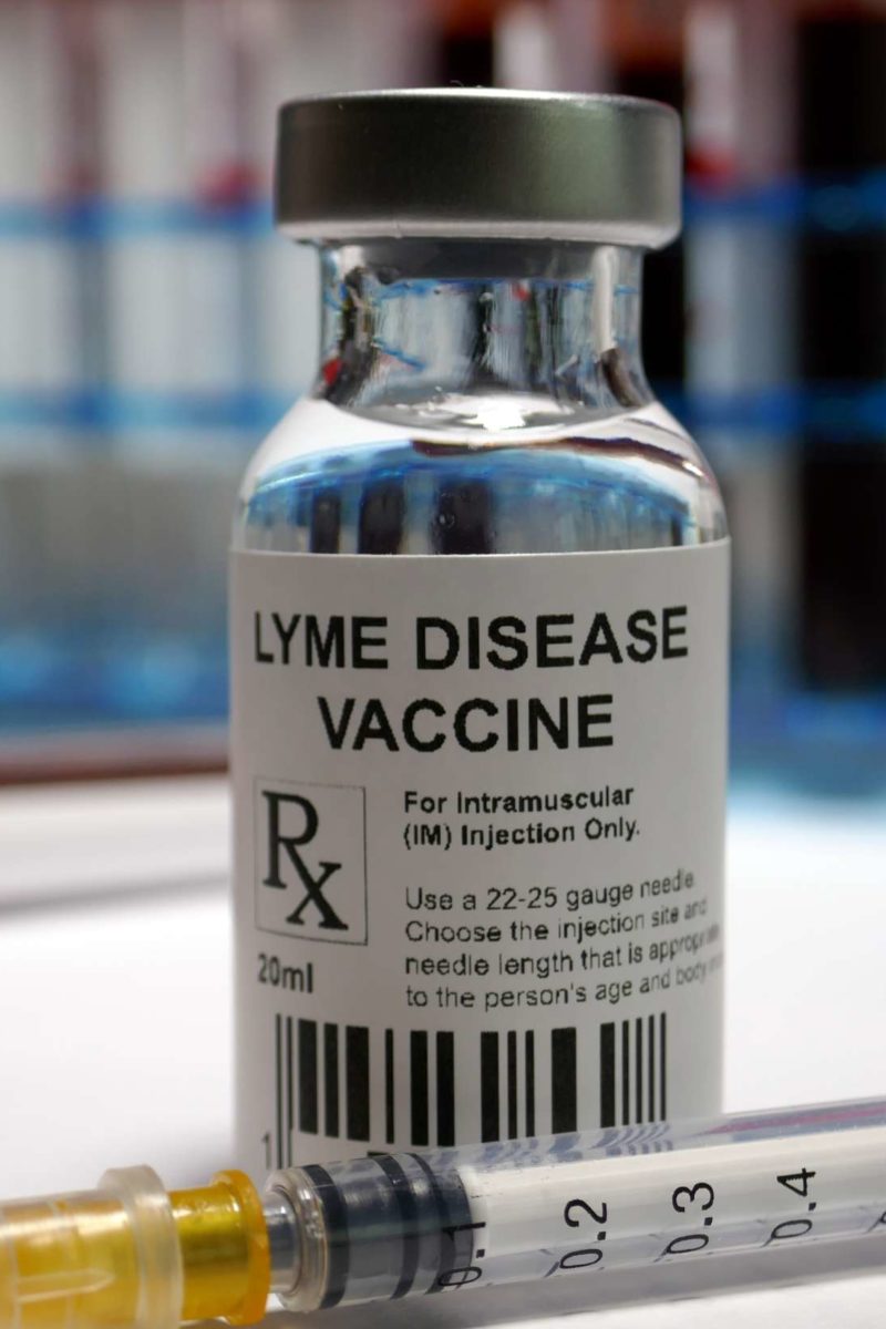 Lyme disease: Vaccine and research