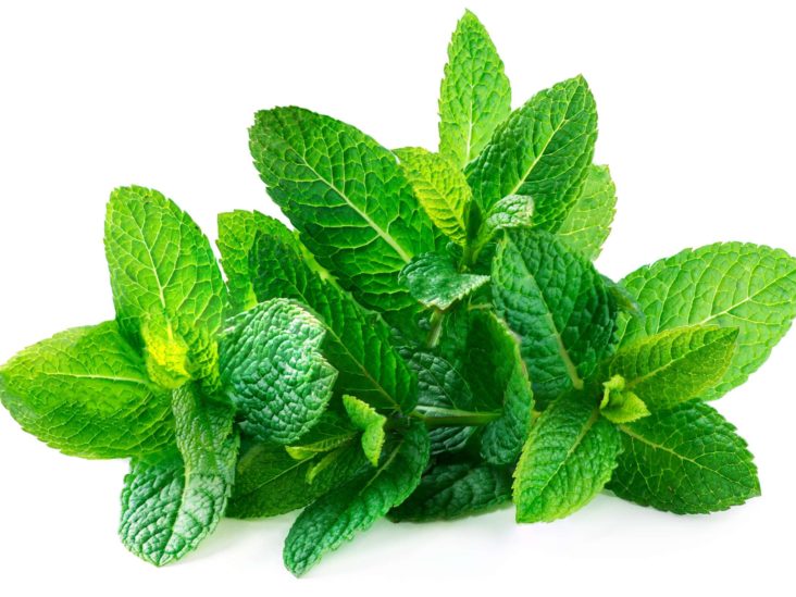 Mint: Benefits, nutrition, and dietary tips