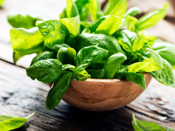 Virus Paradis absurd Basil: Uses, benefits and nutrition