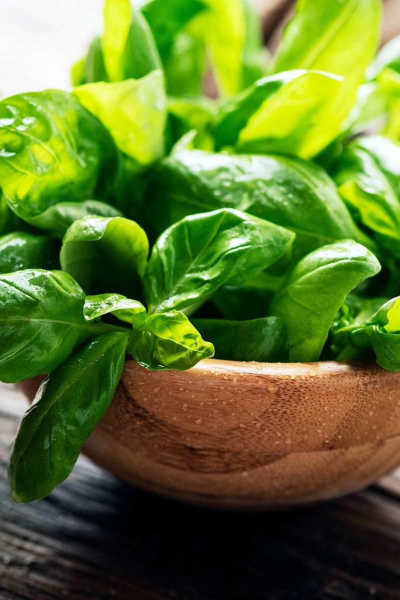 Basil Uses benefits and nutrition