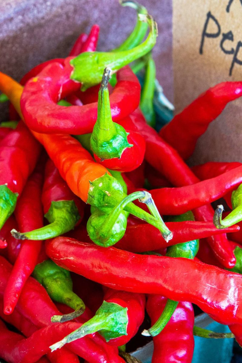 Cayenne pepper Health benefits, nutrition, and tips