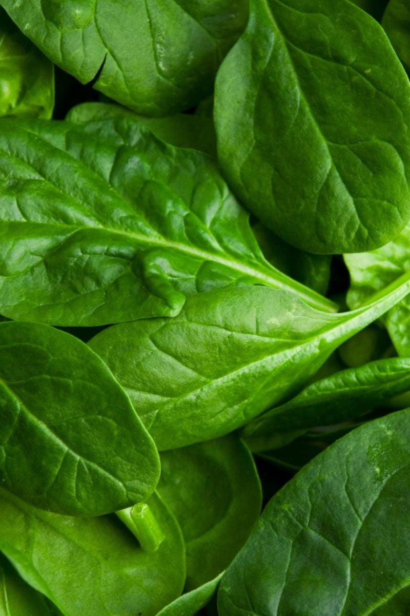 Spinach Nutrition health benefits and diet 