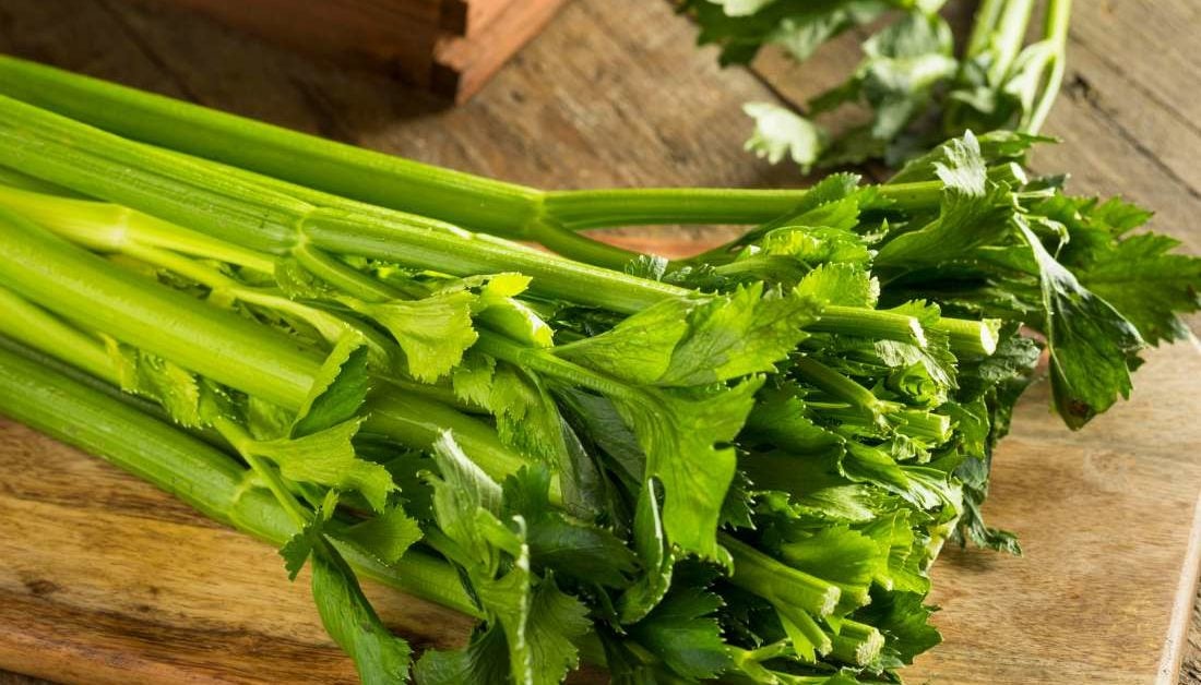 Celery: Health benefits, nutrition, diet, and risks