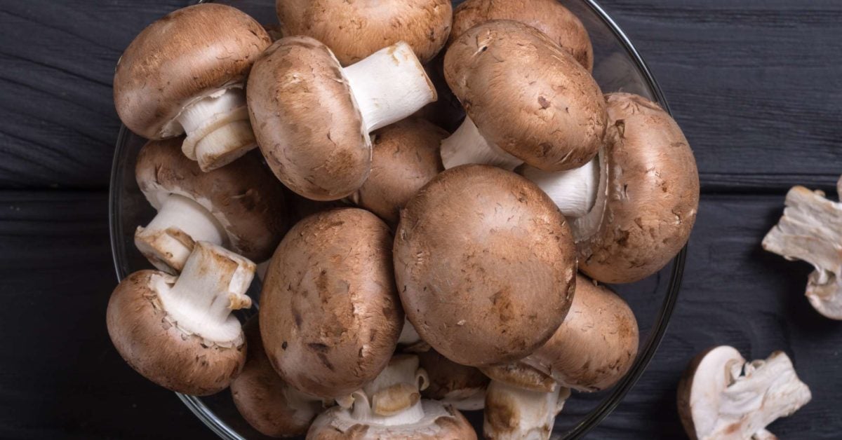 edible mushrooms pictures