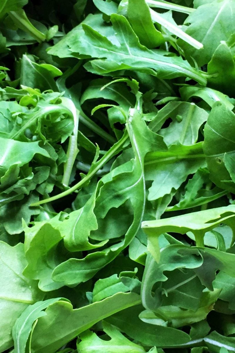 Arugula Leaf