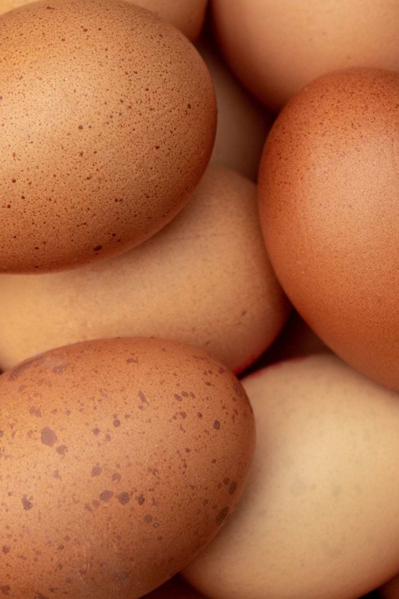 Fat Mom Forces Son For Sex - Eggs: Health benefits, nutrition, and more