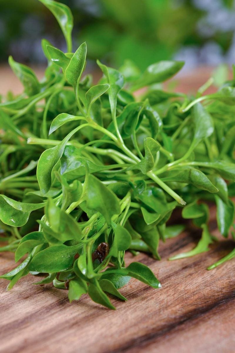 Watercress Health Benefits And Nutritional Breakdown