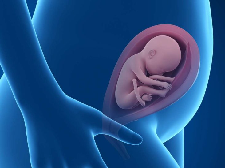 how-do-babies-practice-breathing-in-the-womb-admohwa