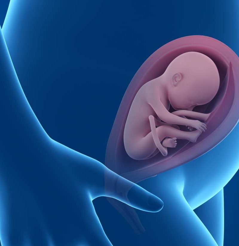 25-weeks-pregnant-symptoms-hormones-baby-development