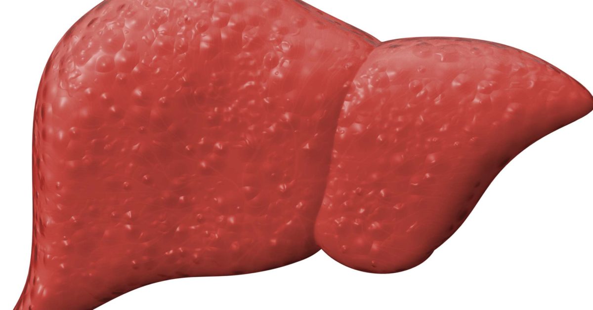 The liver: Structure, function, and disease