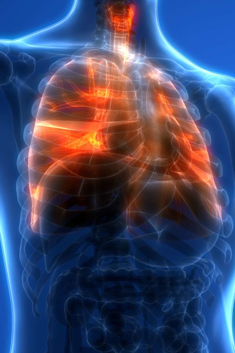 Lung function: What do the lungs do?