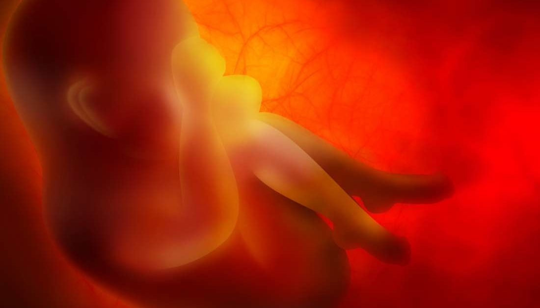 amniotic fluid in womb