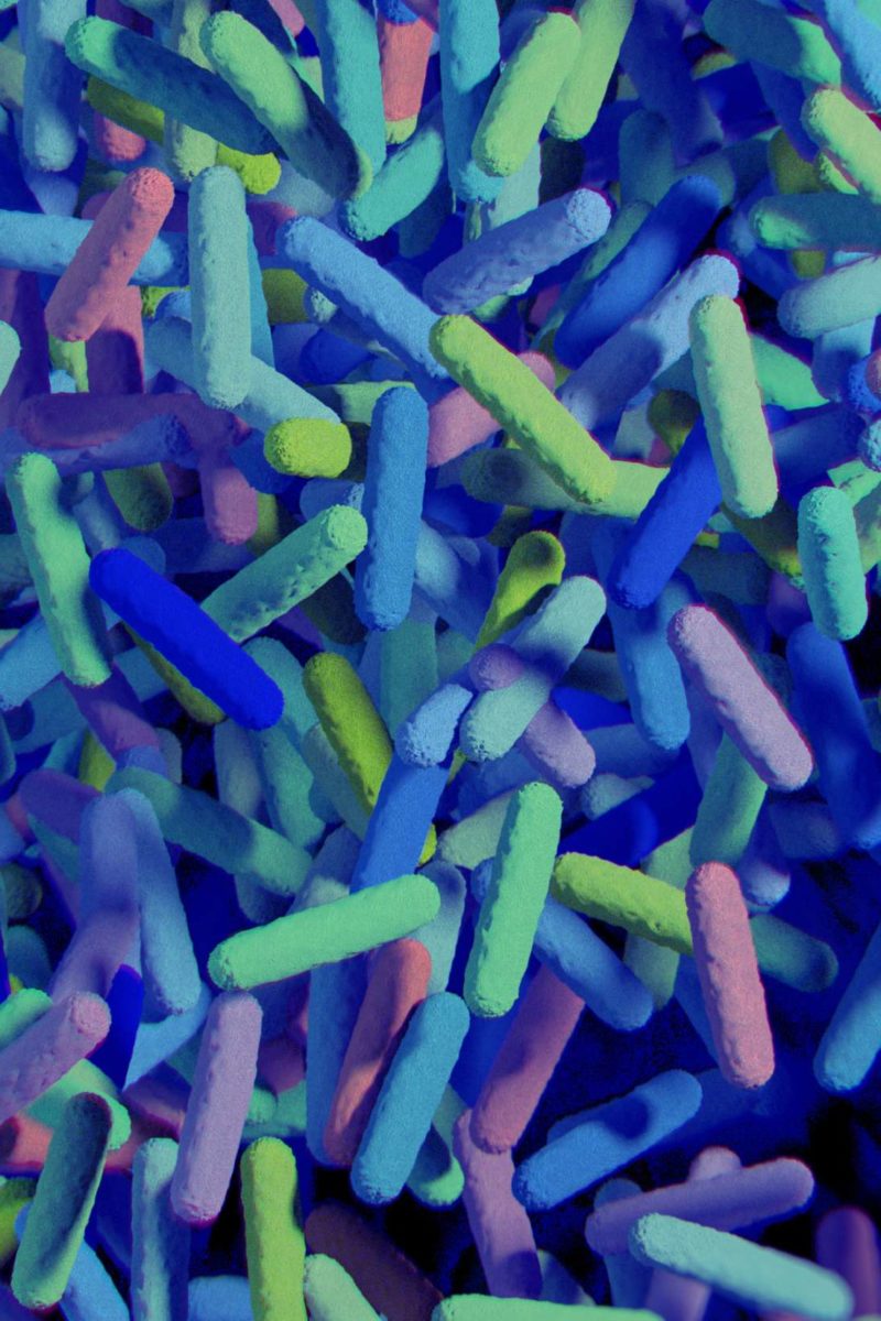 Gut microbiota: Definition, importance, and medical uses