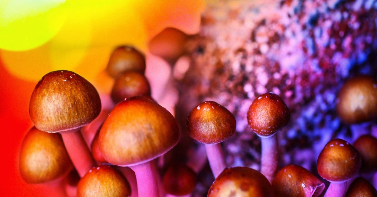 Psilocybin and magic mushrooms: Effects and risks