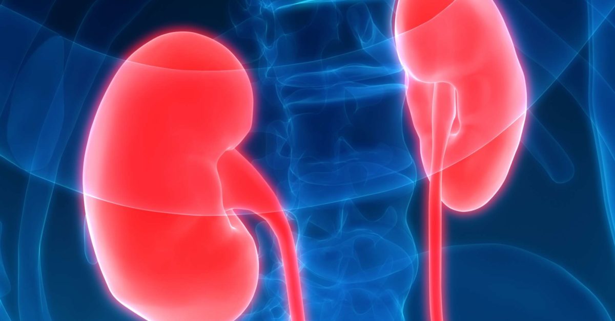 Kidney Disease - Causes, Symptoms, Treatment & Diagnosis