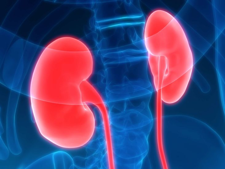 acute-kidney-injury-treatment-market-lupon-gov-ph