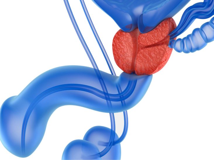 Prostate massage therapy Definition, types, and risks