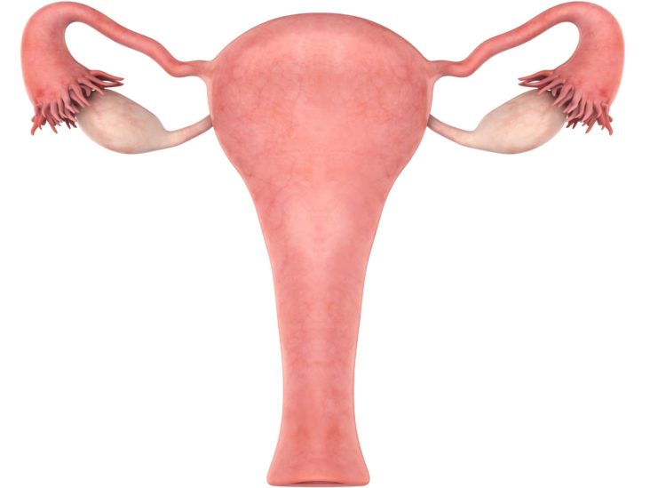 endometritis a prosztatitis miatt
