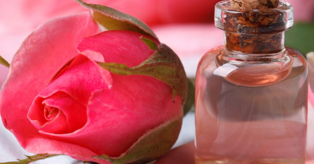 Rose Water Benefits Uses And Side Effects