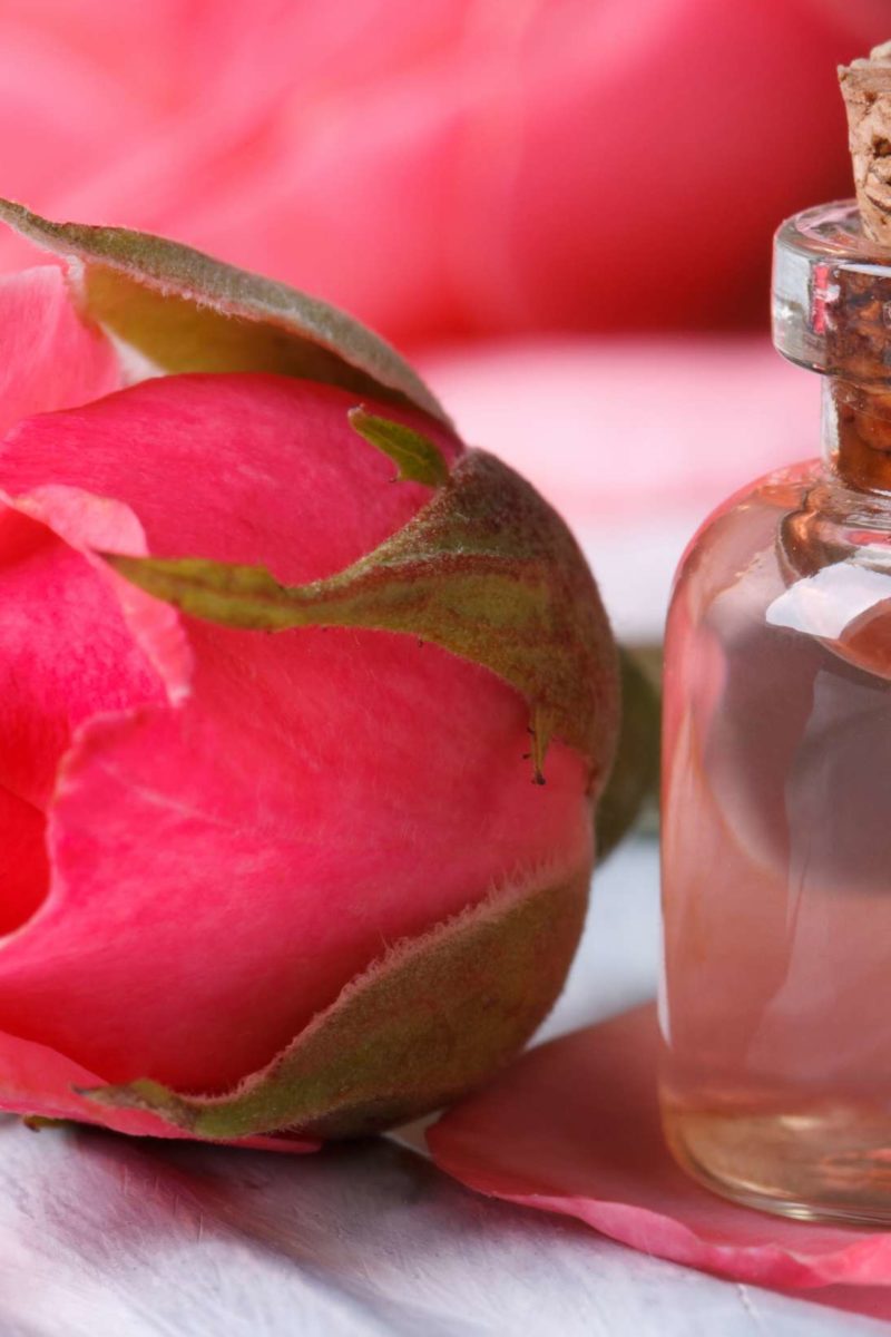 Rose Water Benefits Uses And Side Effects