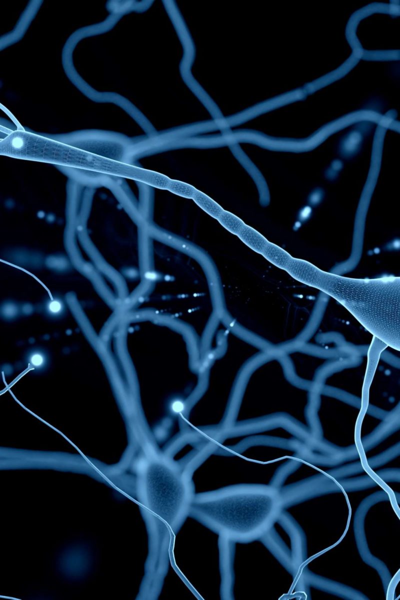 Neurons: What are they and how do they work?