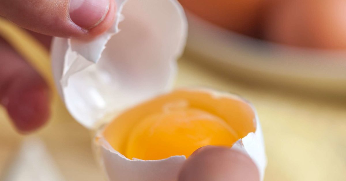 Egg Yolk Nutrition And Benefits