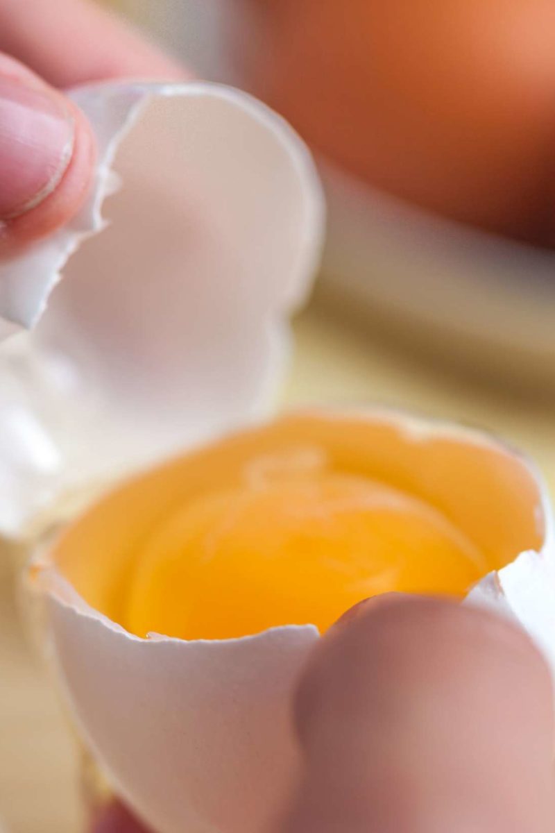 Where Does The Term Egg Yolk Come From