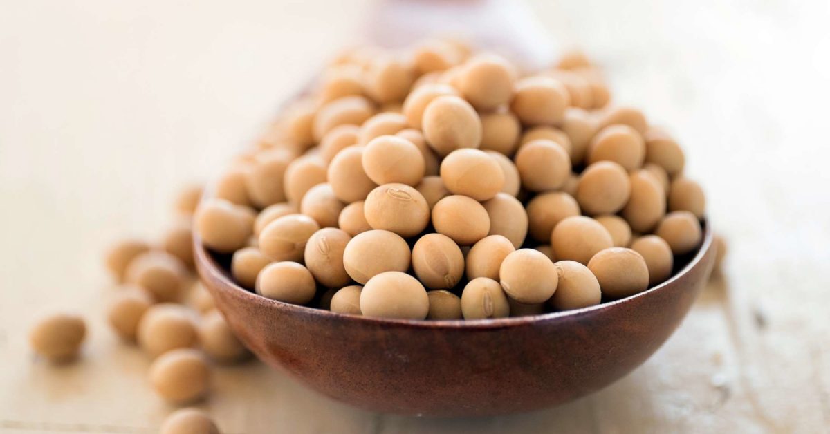 Why Choosing Sustainable Soy Products is Good for Your Health
