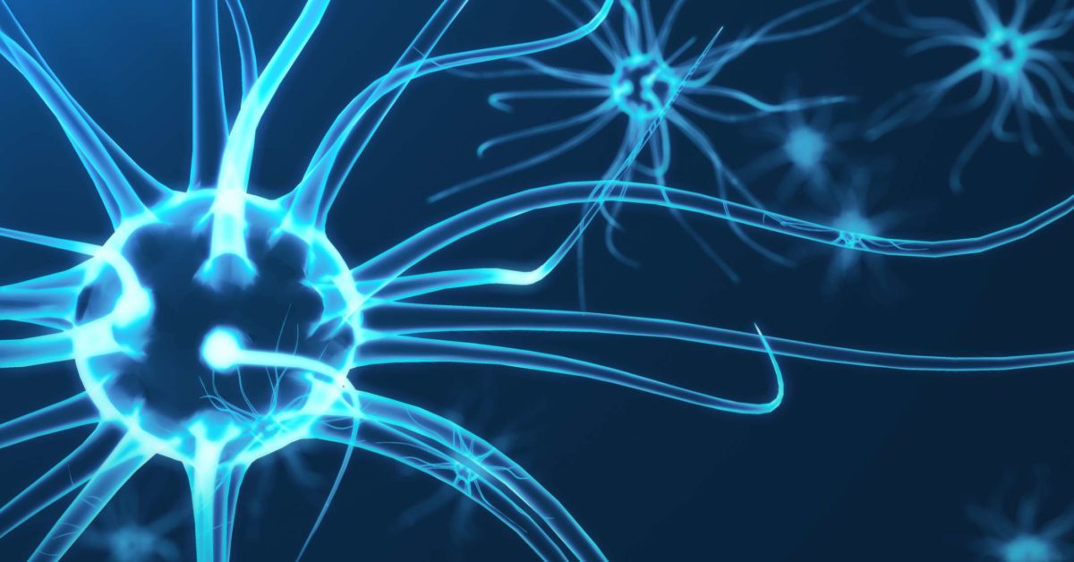 Your brain cell structure could influence obesity risk