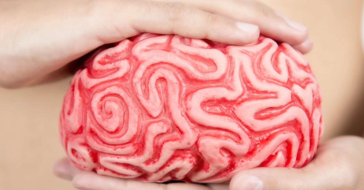 How your gut can make you seem smarter than you really are