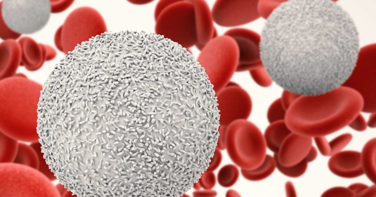 Lymphocytes Levels Ranges And Functions