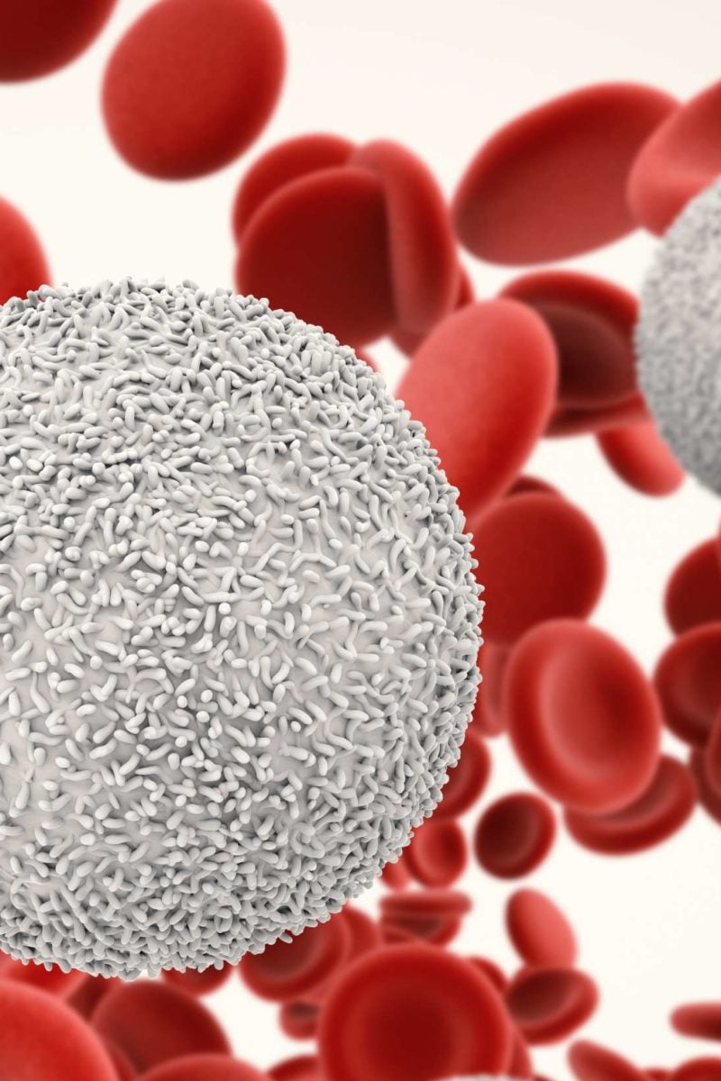 Lymphocytes Levels Ranges And Functions