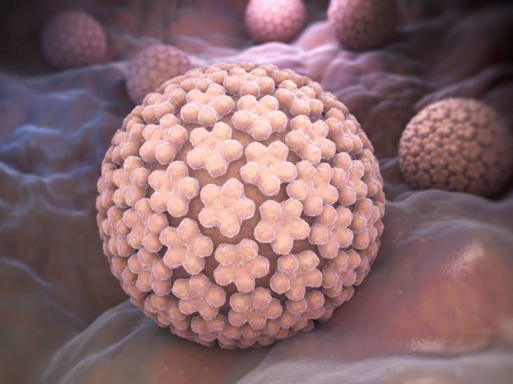 hpv warts never go away