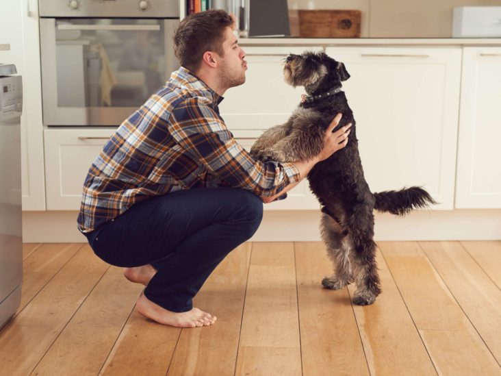 Why you should talk to your dog
